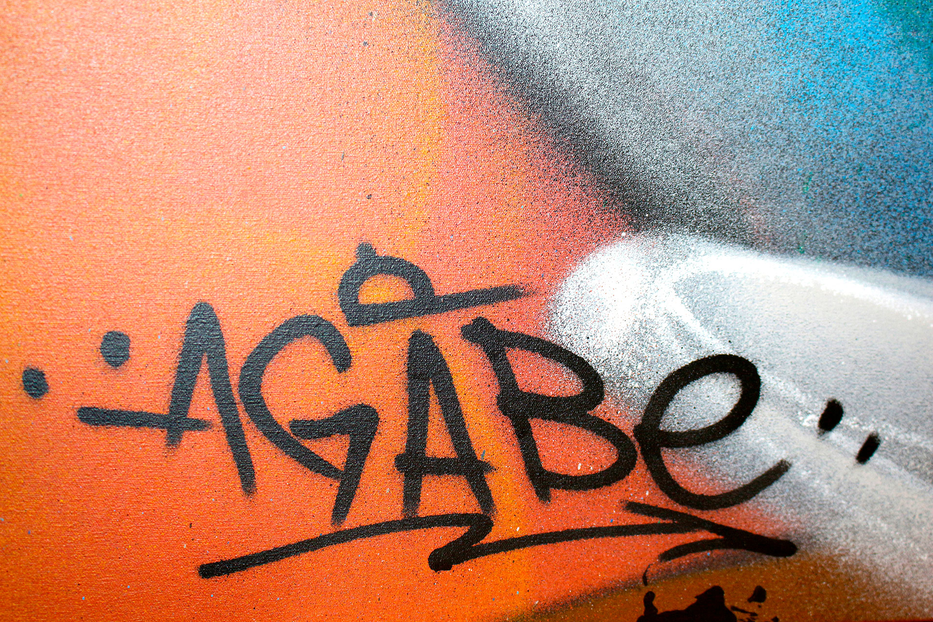 Galeria de fotos