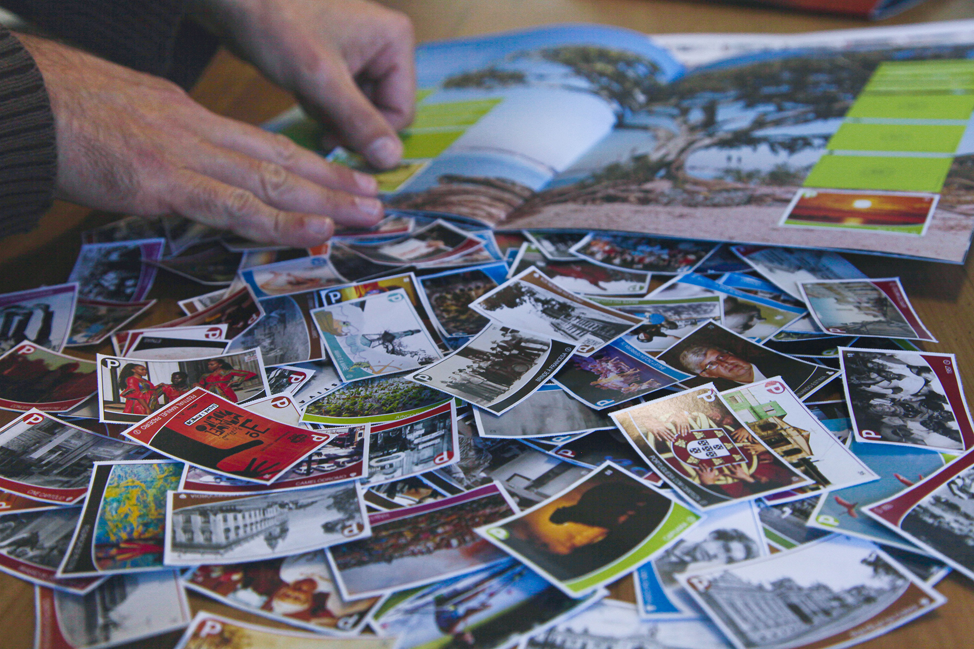 Galeria de fotos