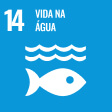 14 - VIDA NA ÁGUA
