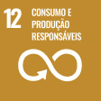 12 - CONSUMO E PRODUÇÃO RESPONSÁVEIS