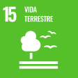 15 - VIDA TERRESTRE
